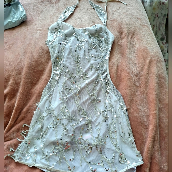 Vintage Nylon Costume - Picture 1 of 4